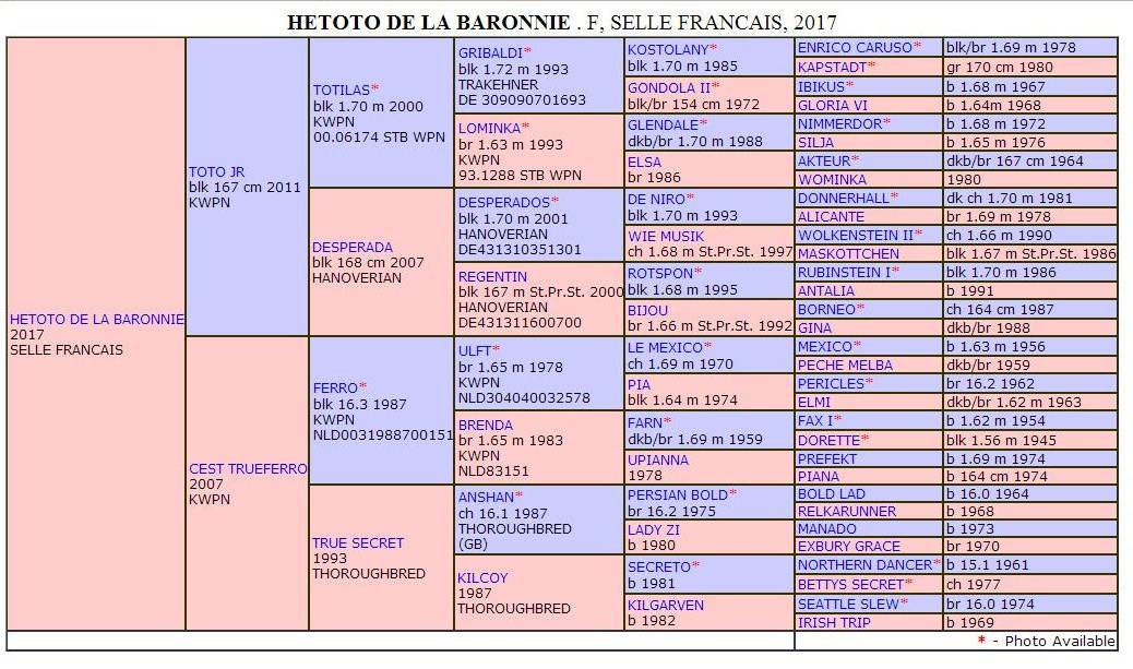 Cavalla Sella Francese In vendita 2017 Nero ,  Toto Jr
