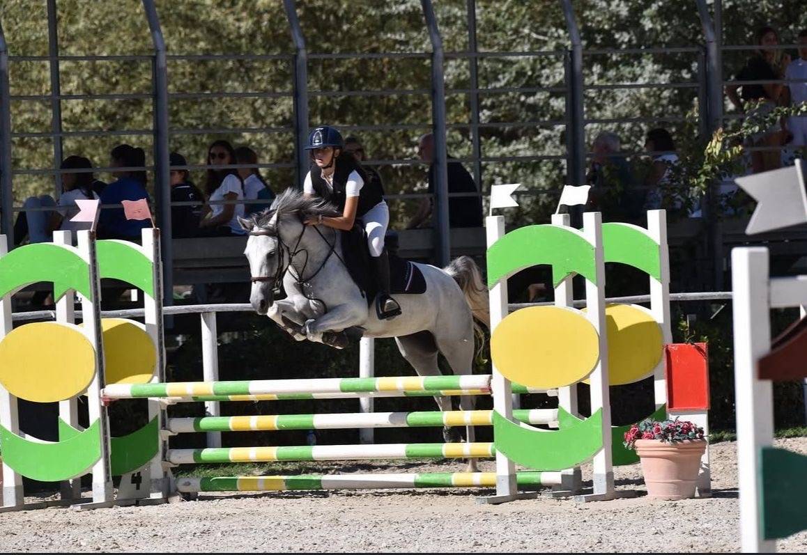 VENDITA Pony femmina anno 2020. Altezza 147