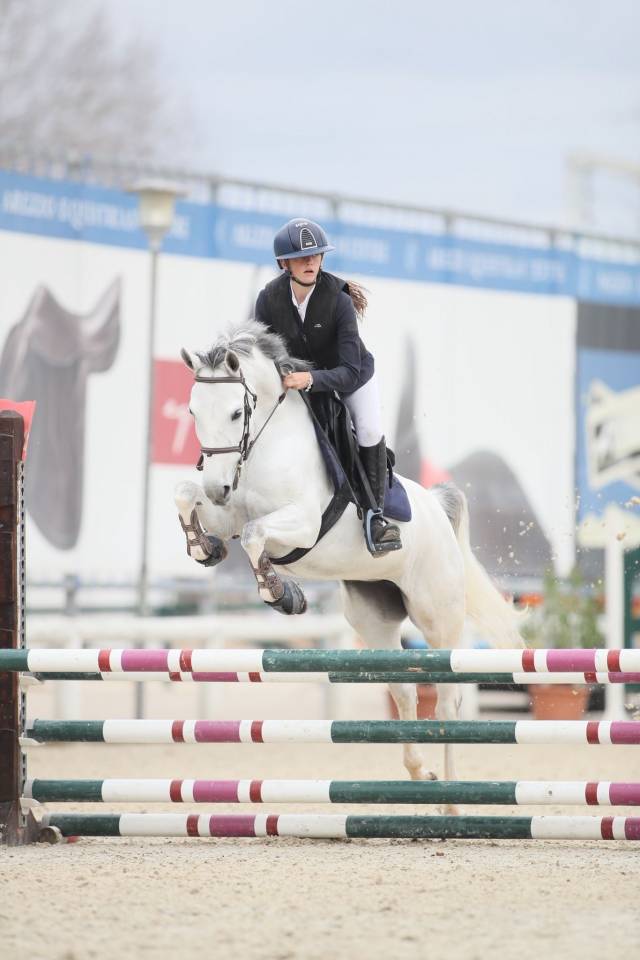 VENDITA Pony femmina anno 2020. Altezza 147