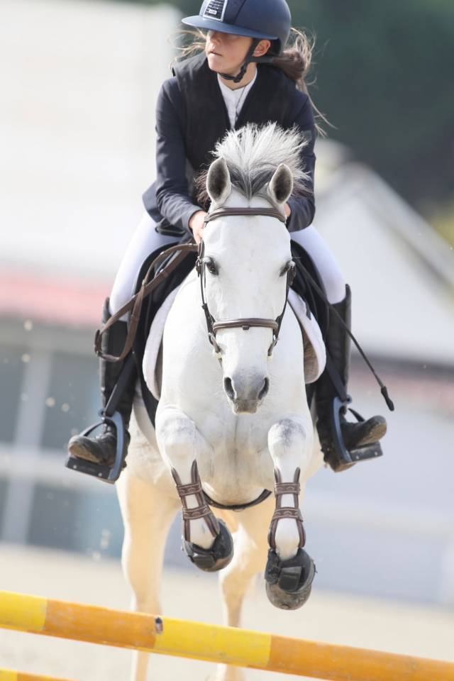 VENDITA Pony femmina anno 2020. Altezza 147