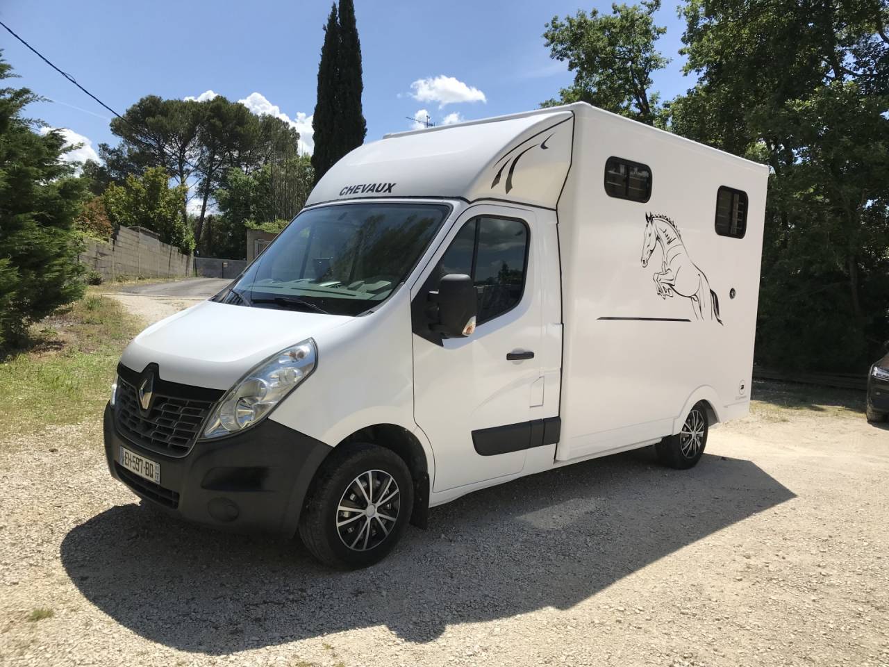 Van per Cavalli Renault  2015 Occasione