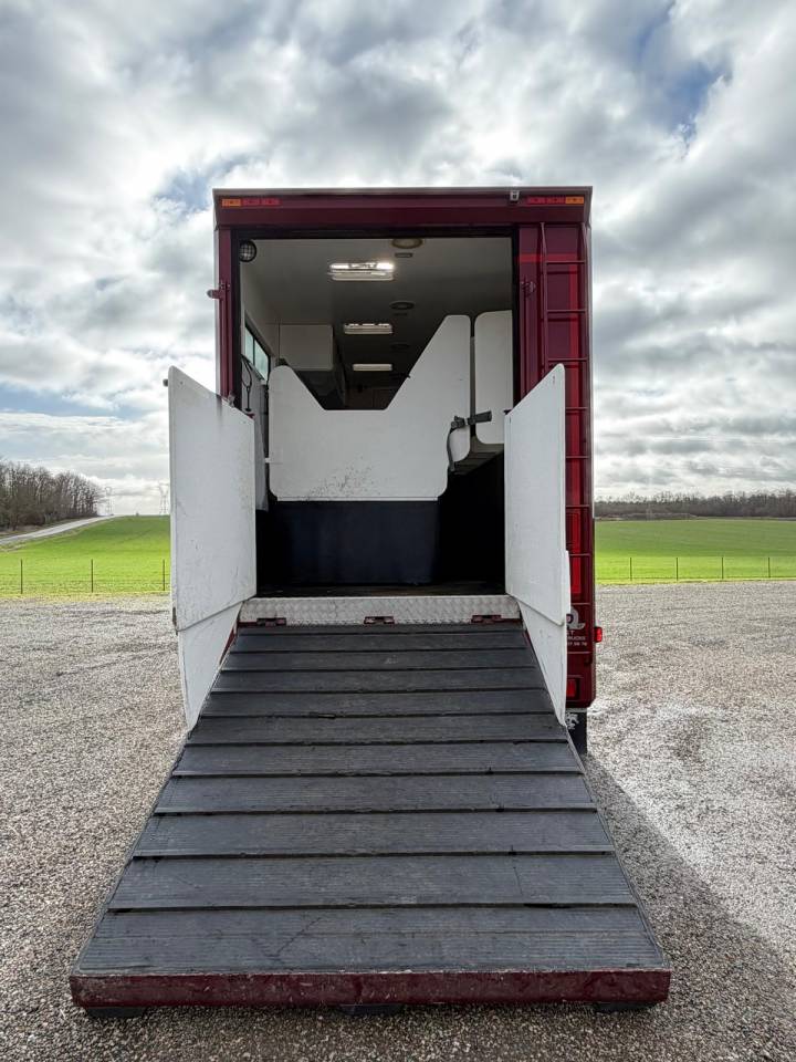 Camion per Cavalli Volvo Paillard 2017 Occasione