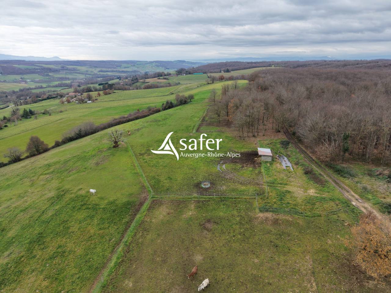 Propriet&agrave; equestre In vendita Dr&ocirc;me