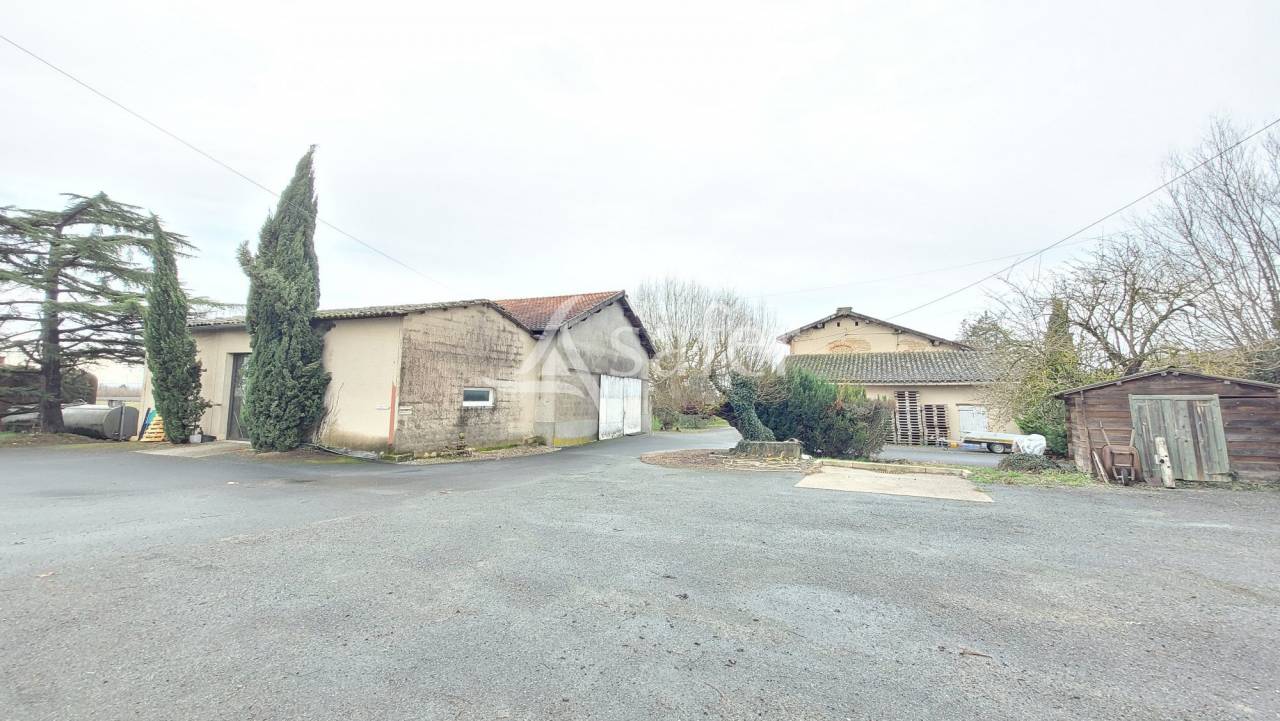 Azienda cerealicola In vendita tarn