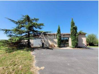 Azienda cerealicola In vendita tarn