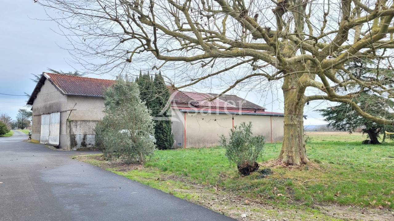 Azienda cerealicola In vendita tarn