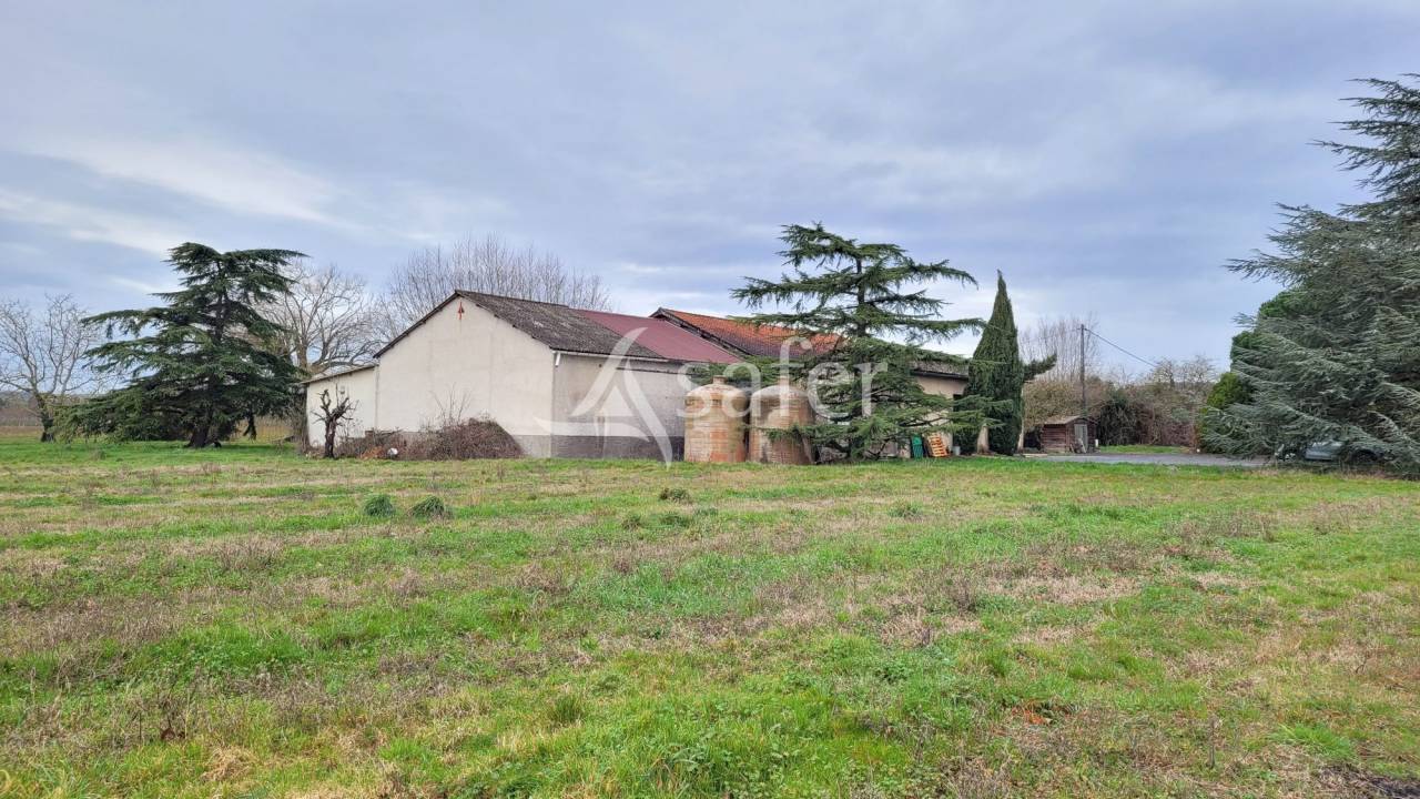 Azienda cerealicola In vendita tarn