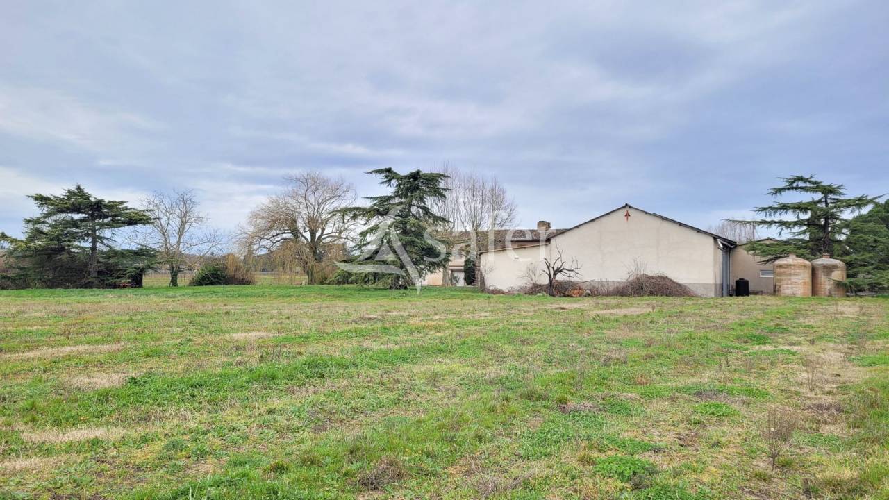 Azienda cerealicola In vendita tarn