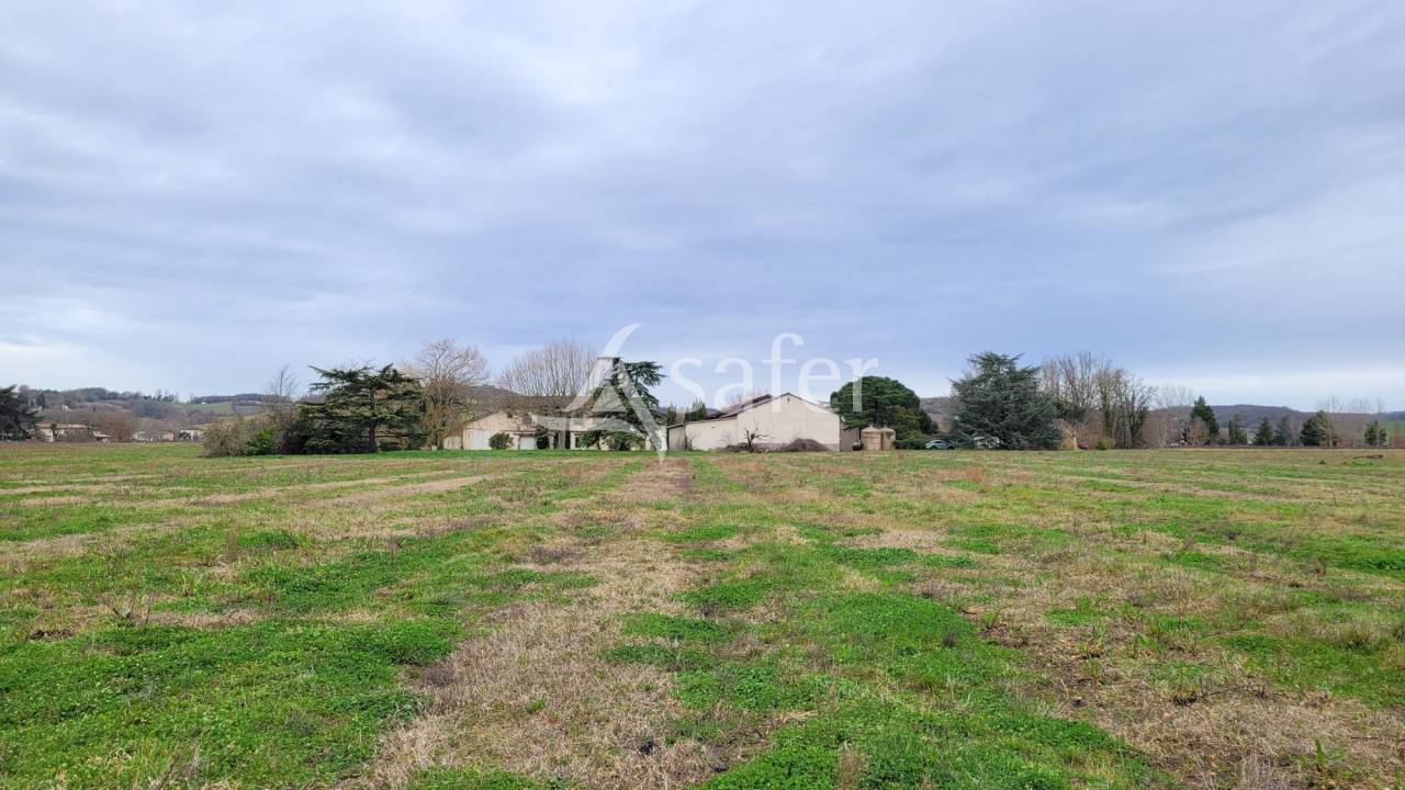Azienda cerealicola In vendita tarn