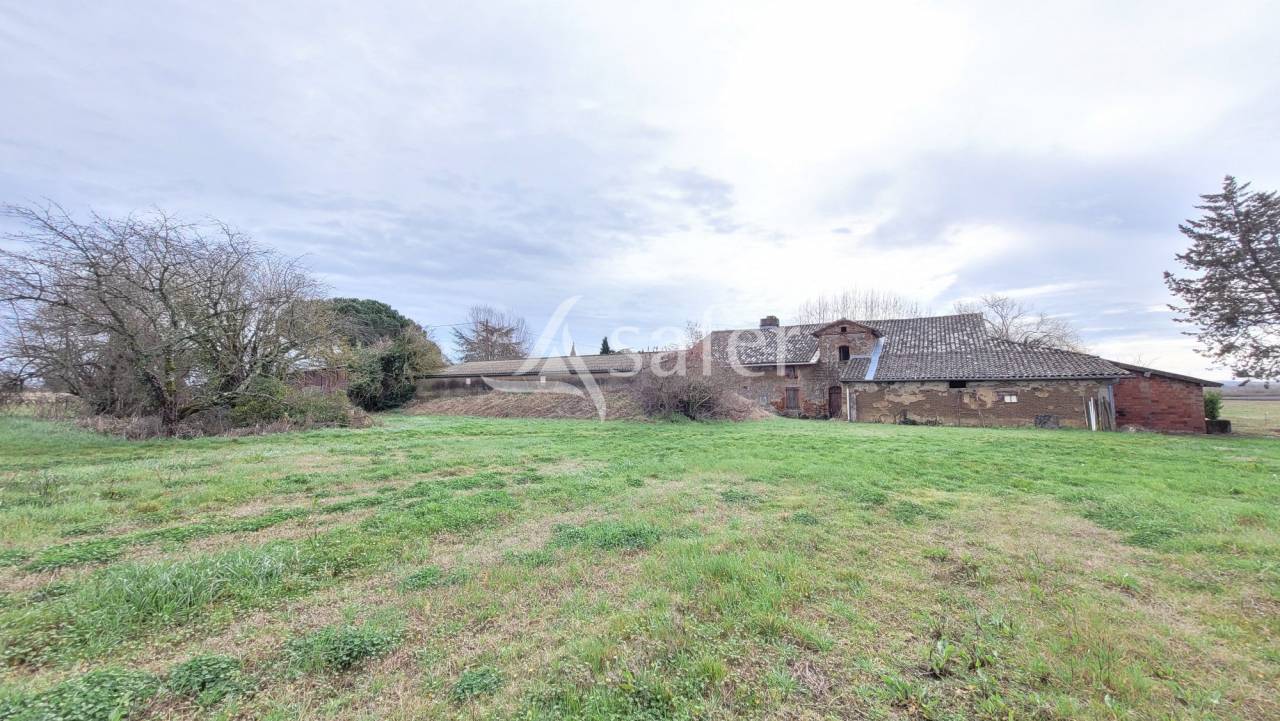 Azienda cerealicola In vendita tarn