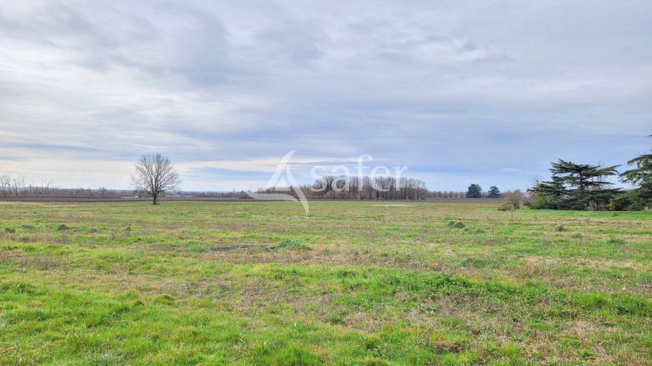 Azienda cerealicola In vendita tarn