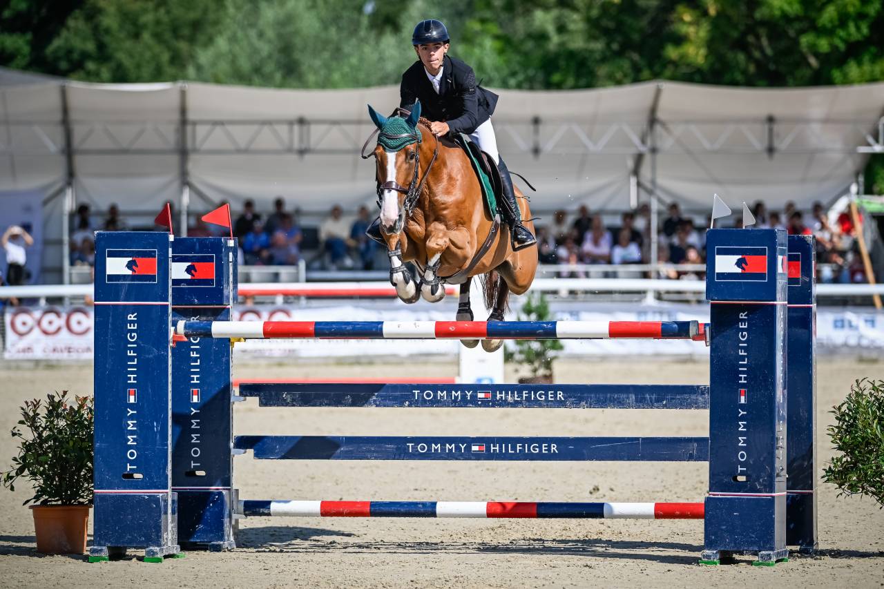 Castrone Sella Francese In vendita 2016 Sauro ,  EPSOM GESMERAY