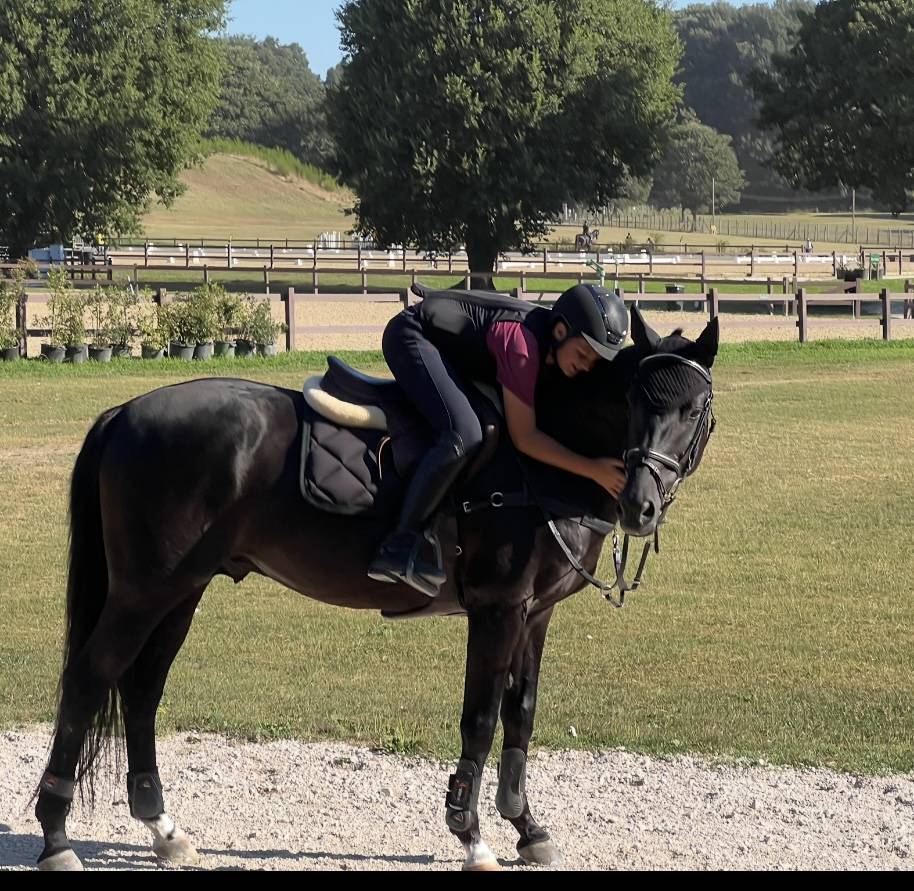 Vendo Pony da completo e salto ostacoli 