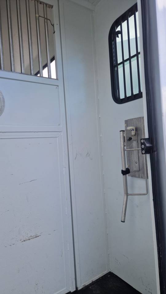 Van per Cavalli Theault peugeot  master 2013 Occasione