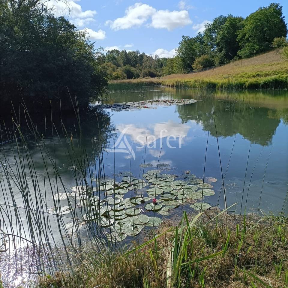 Propriet&agrave; equestre In vendita Charente