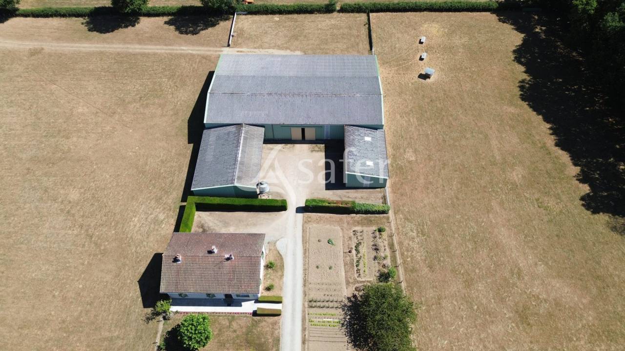 Azienda ovina In vendita Charente