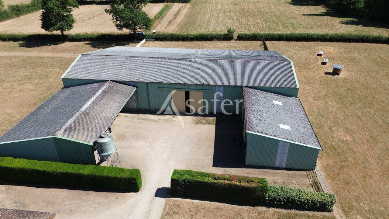 Azienda ovina In vendita Charente