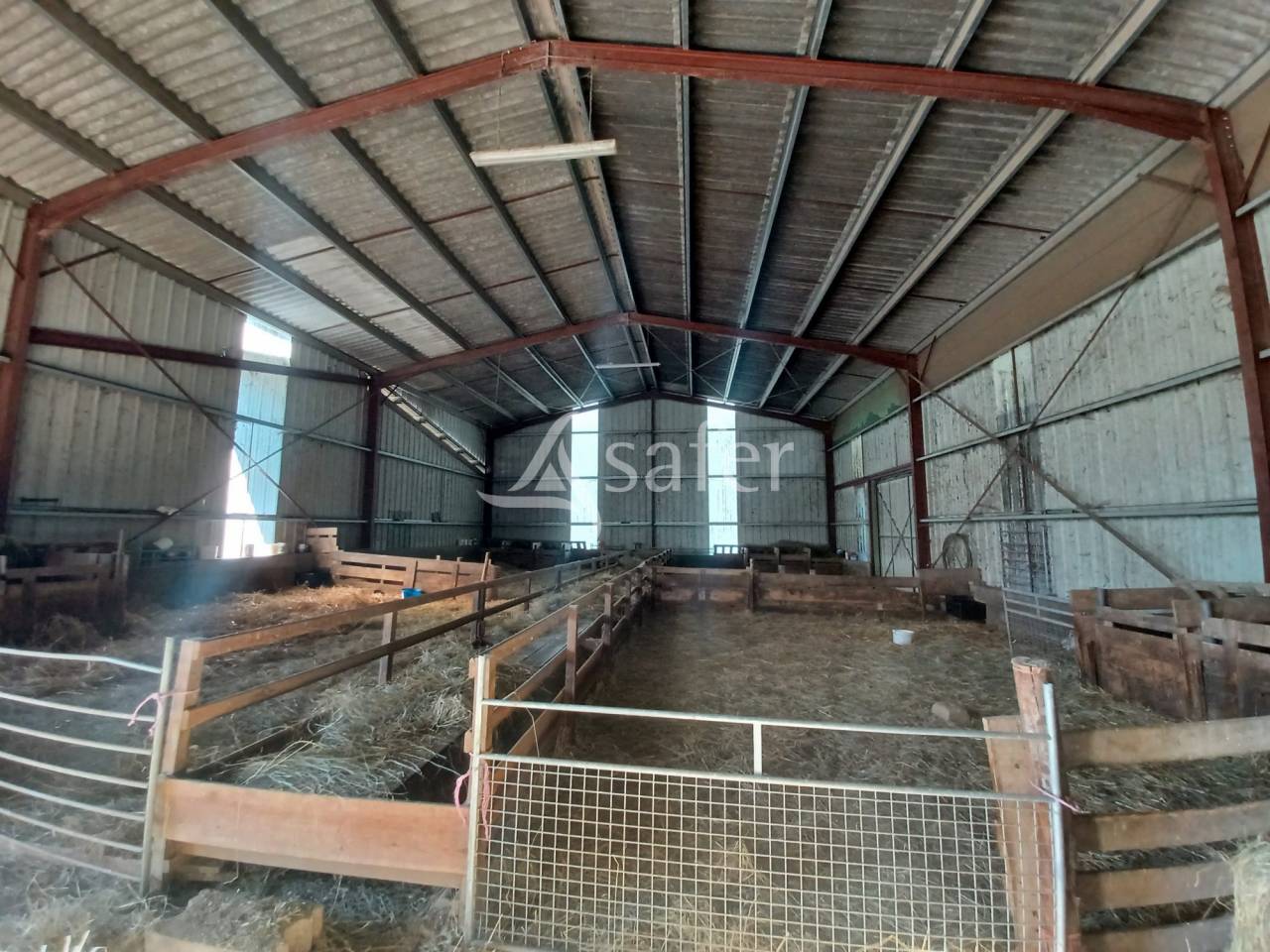 Azienda ovina In vendita Charente