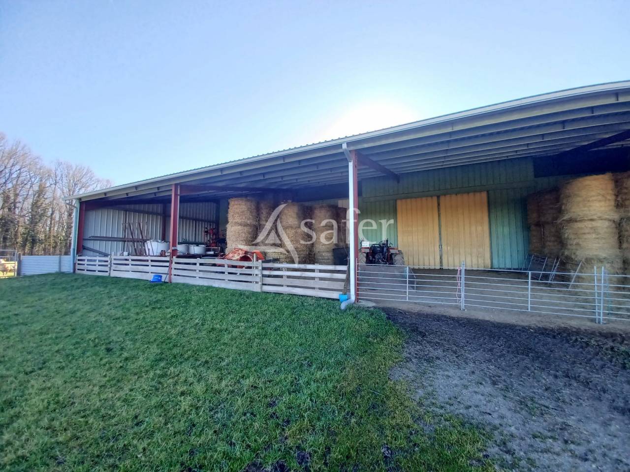 Azienda ovina In vendita Charente