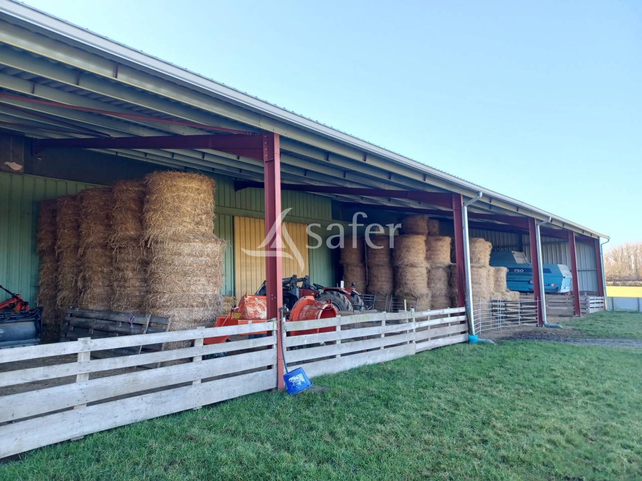 Azienda ovina In vendita Charente