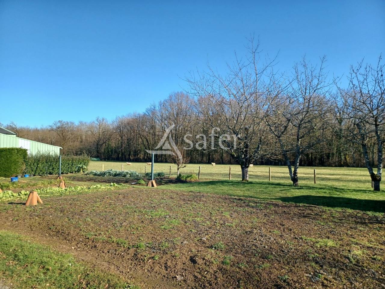 Azienda ovina In vendita Charente