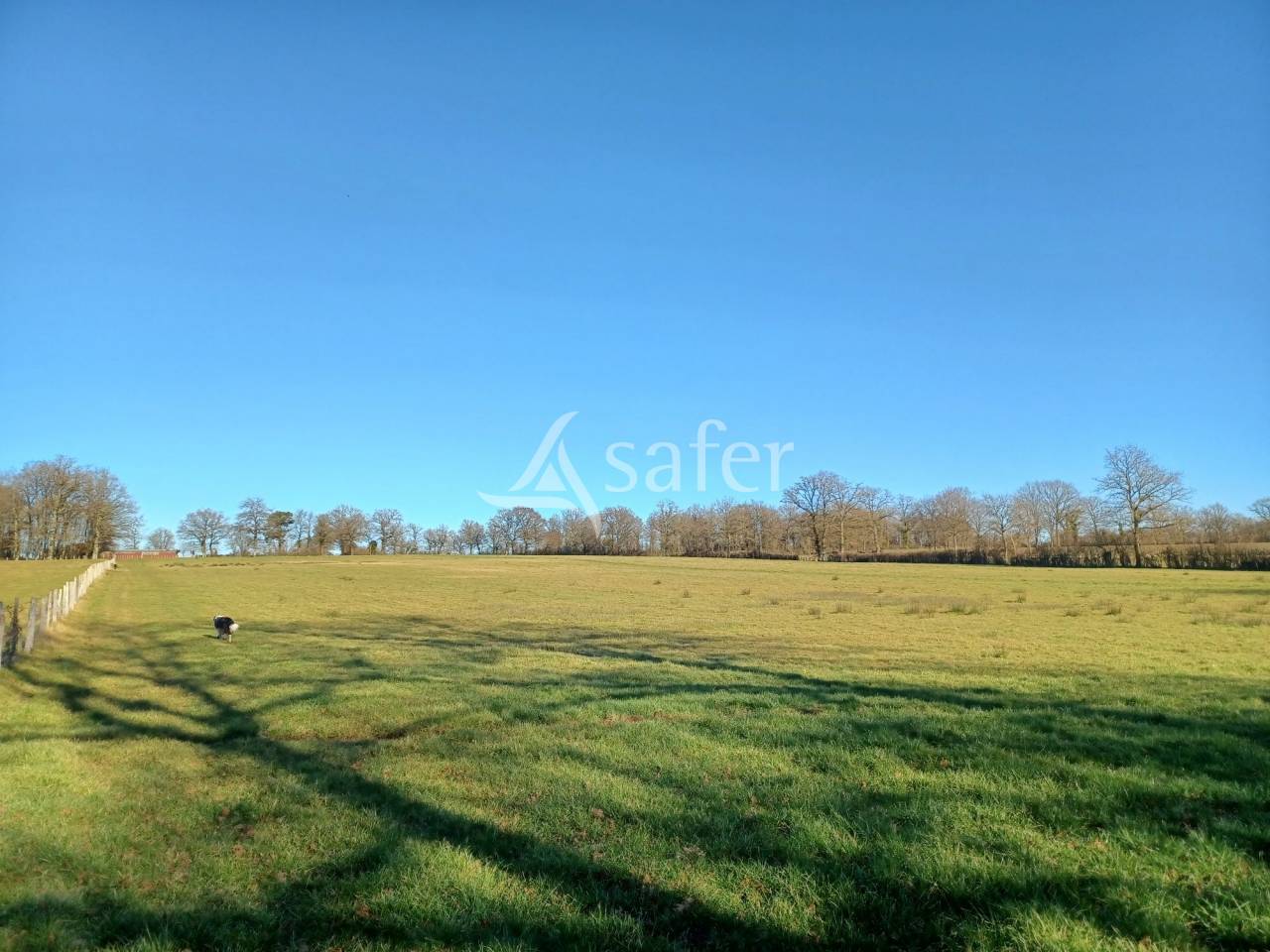 Azienda ovina In vendita Charente