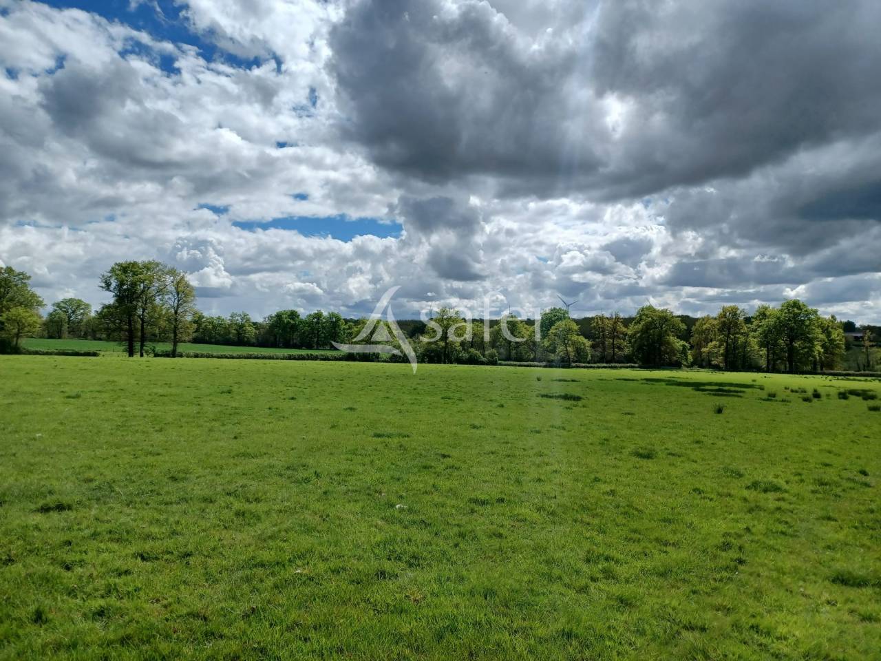 Azienda ovina In vendita Charente