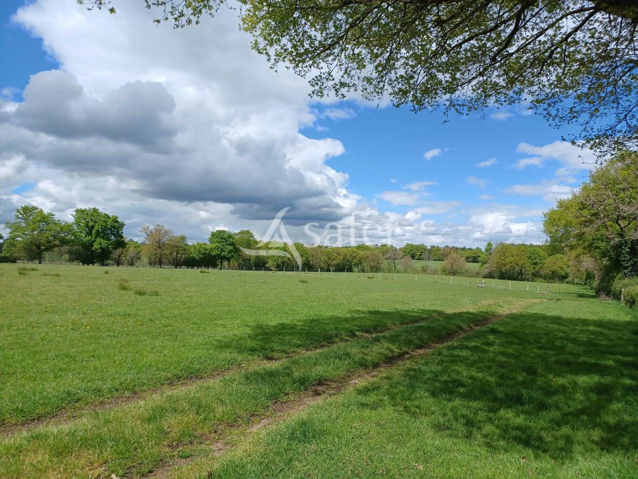 Azienda ovina In vendita Charente