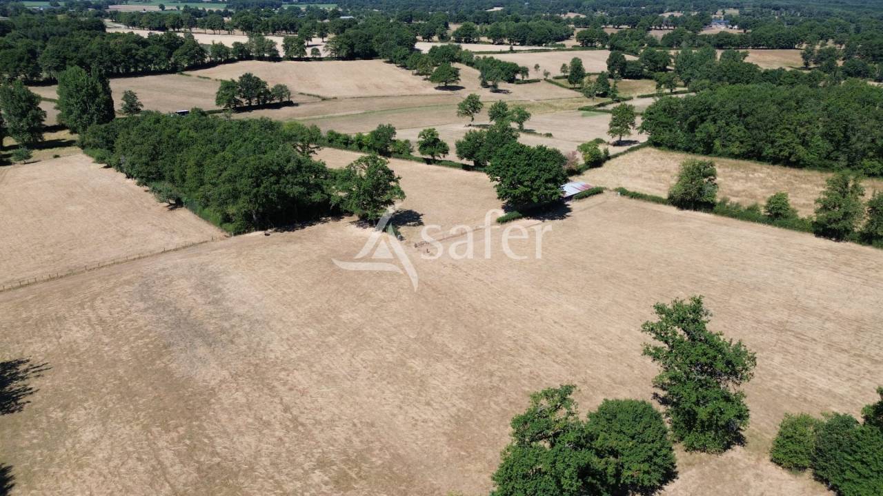 Azienda ovina In vendita Charente