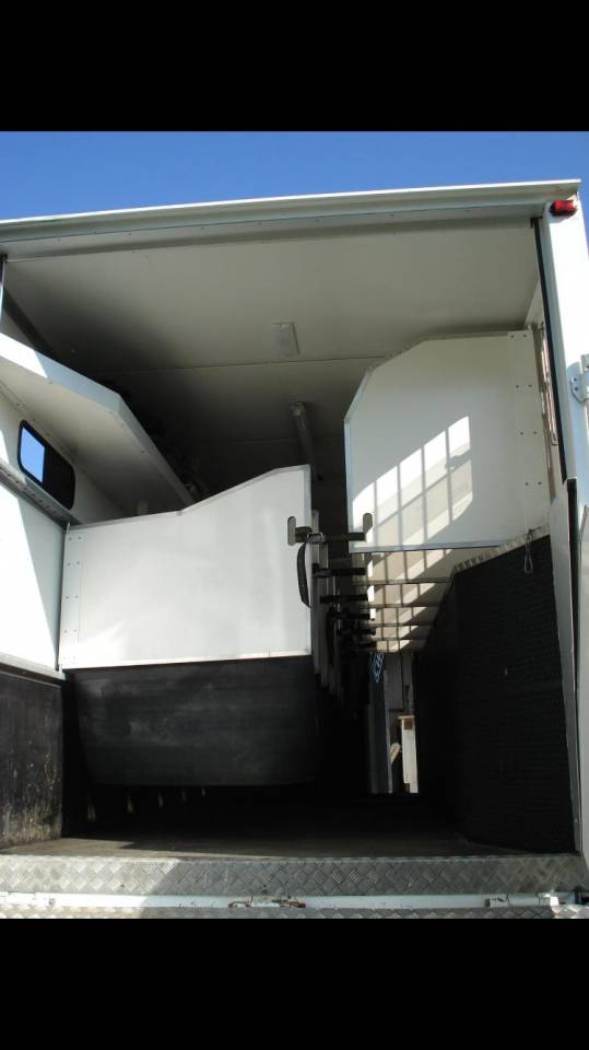 Camion per Cavalli Renault Premium 1999 Occasione