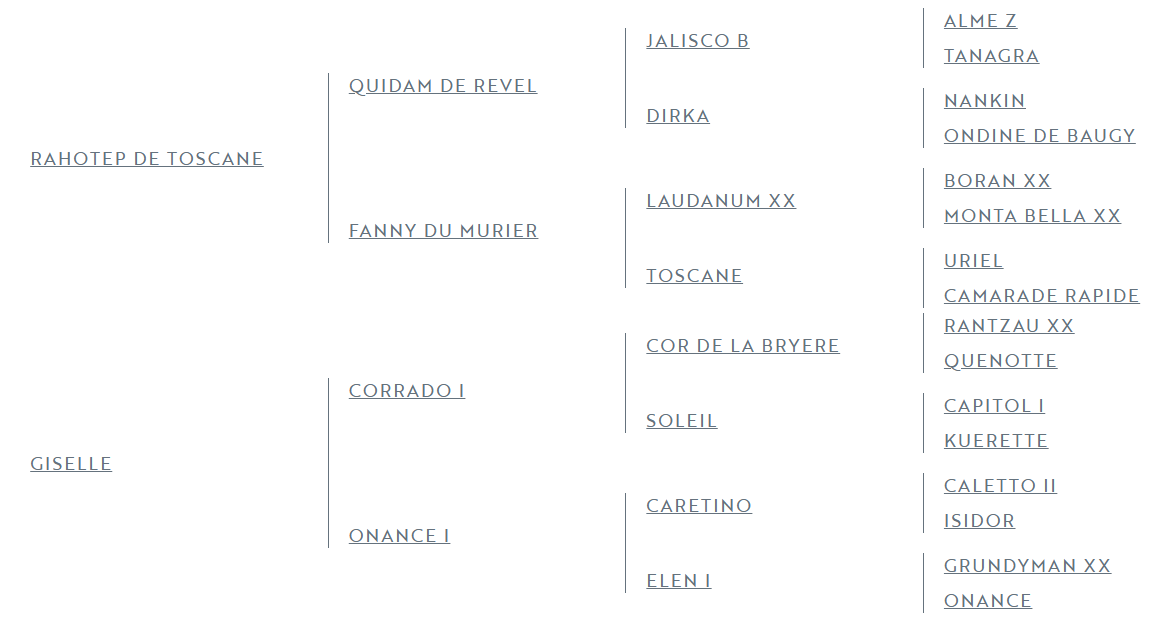 Castrone Zangersheide In vendita 2025 Baio