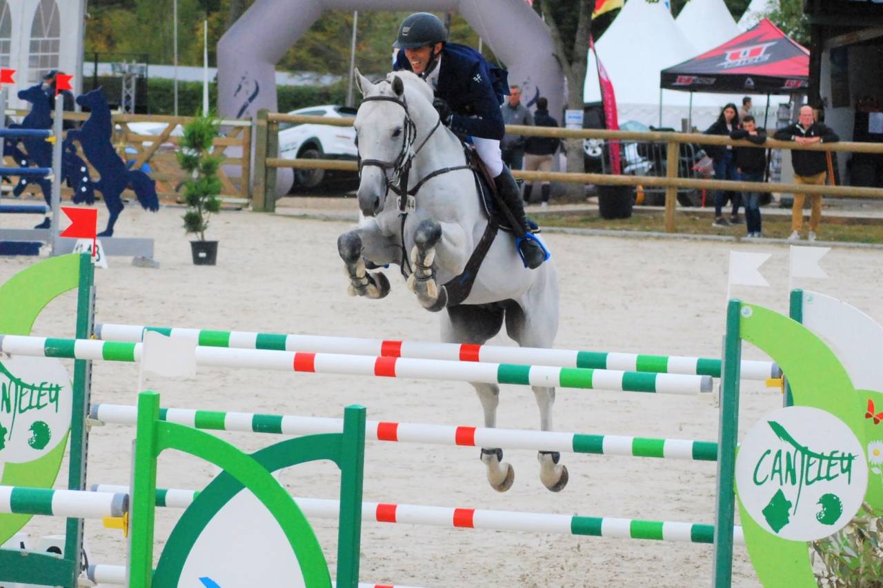 Puledro Origine non conosciuta  In vendita 2025 Baio