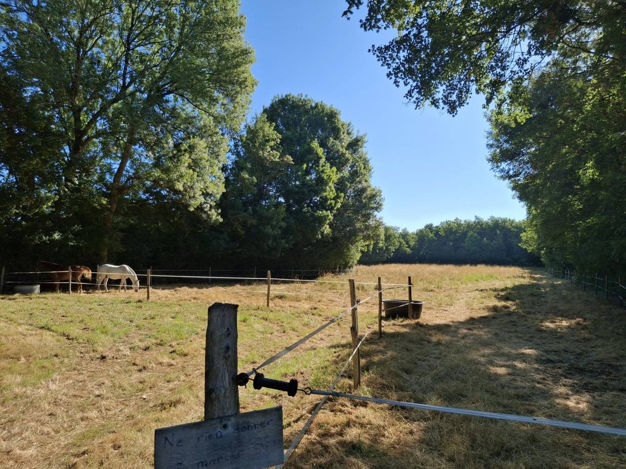 Propriet&agrave; equestre In vendita Charente-Maritime