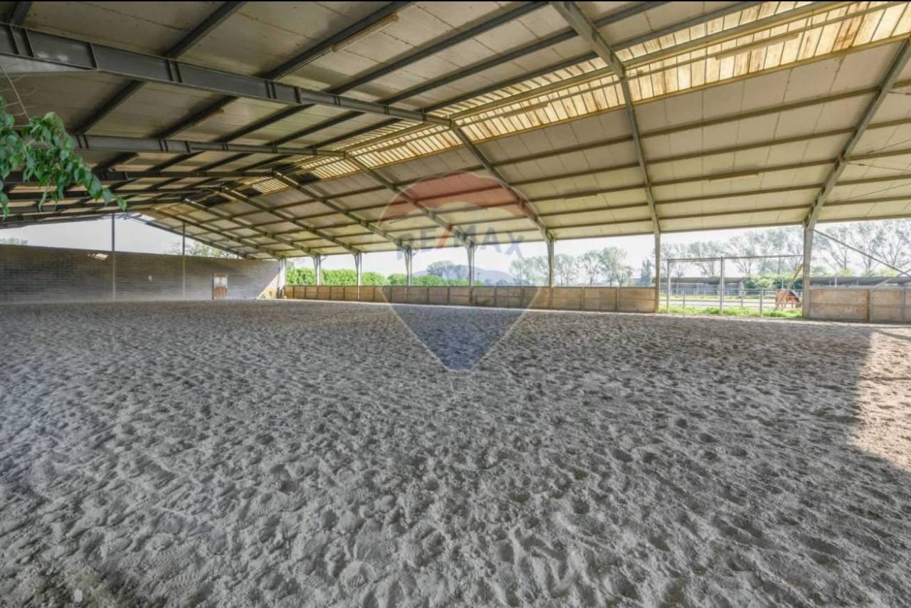Centro equestre con B&B e 4 unita abitative 