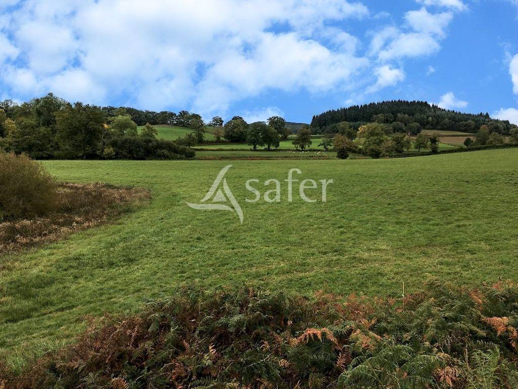 Azienda agricola In vendita Creuse