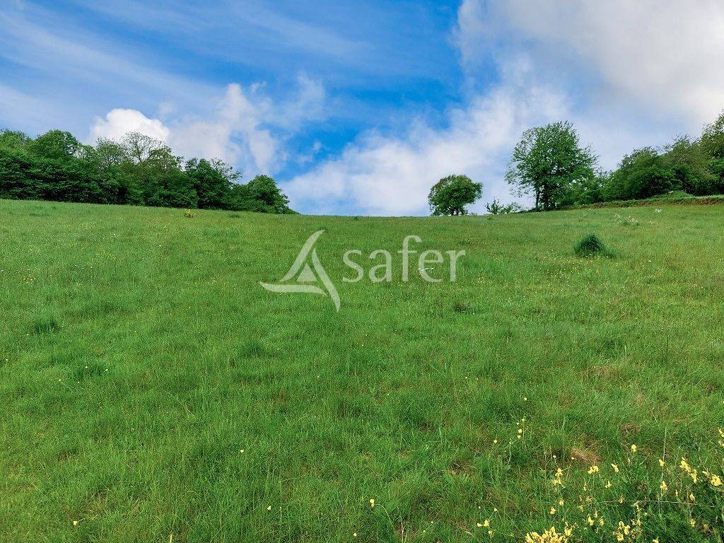 Azienda agricola In vendita Creuse