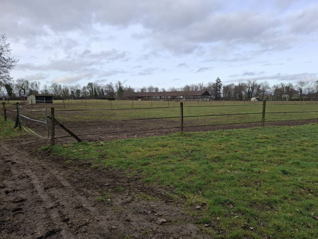 Scuderia per proprietari Noleggio Cher