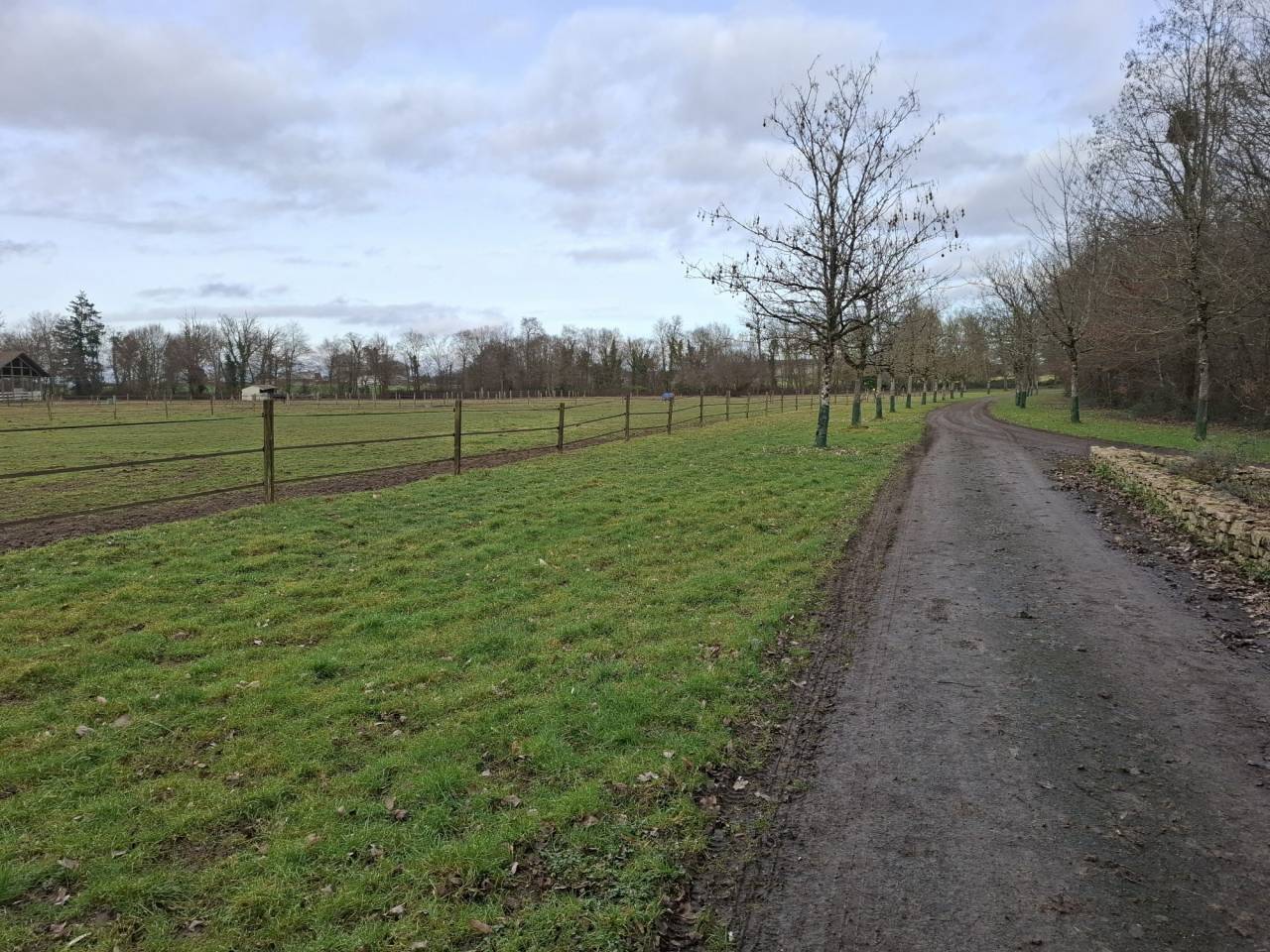 Scuderia per proprietari Noleggio Cher