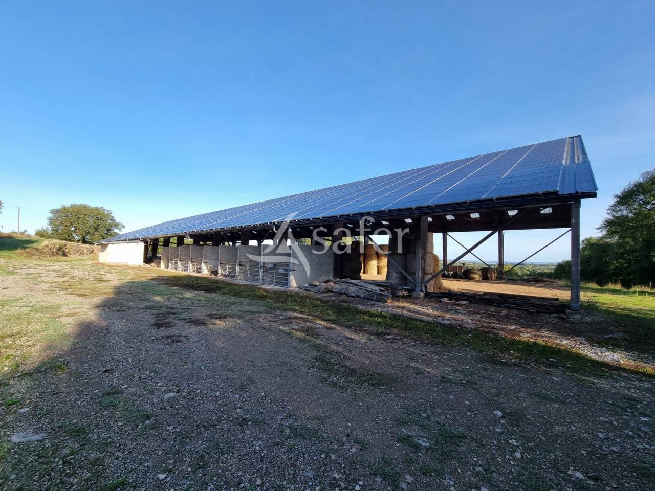 Azienda agricola In vendita Lot