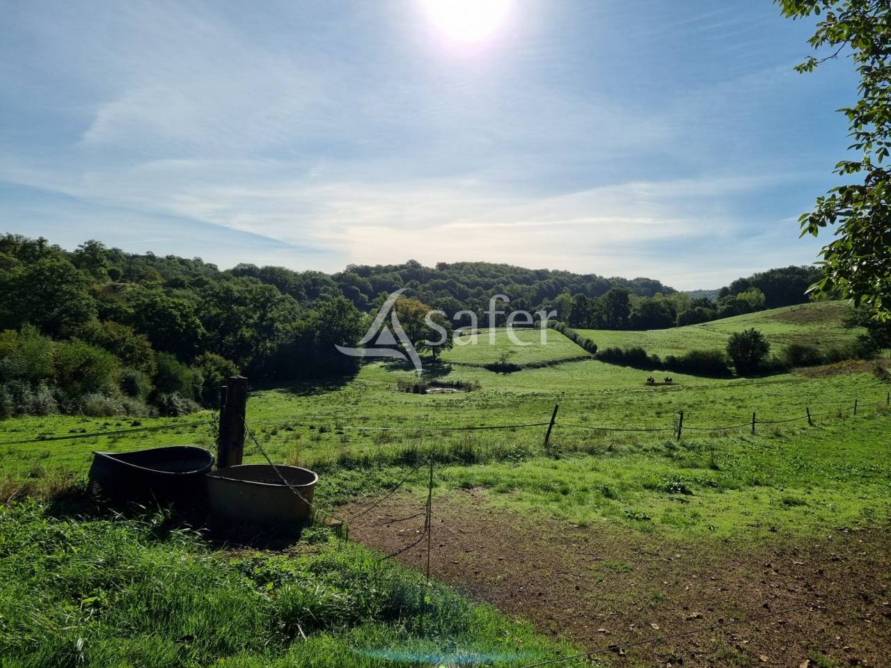 Azienda agricola In vendita Lot