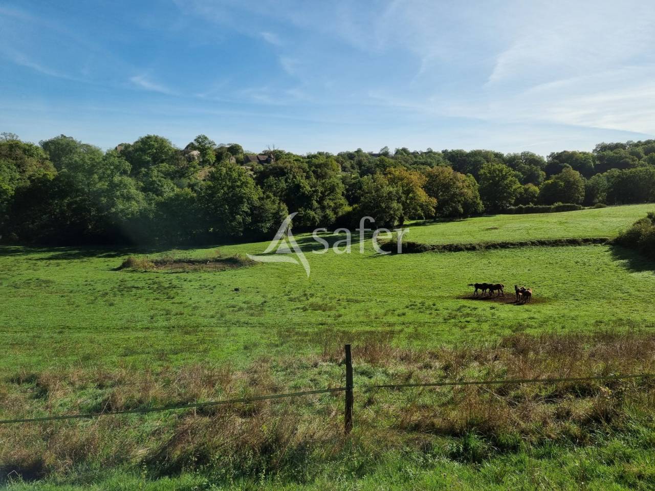 Azienda agricola In vendita Lot