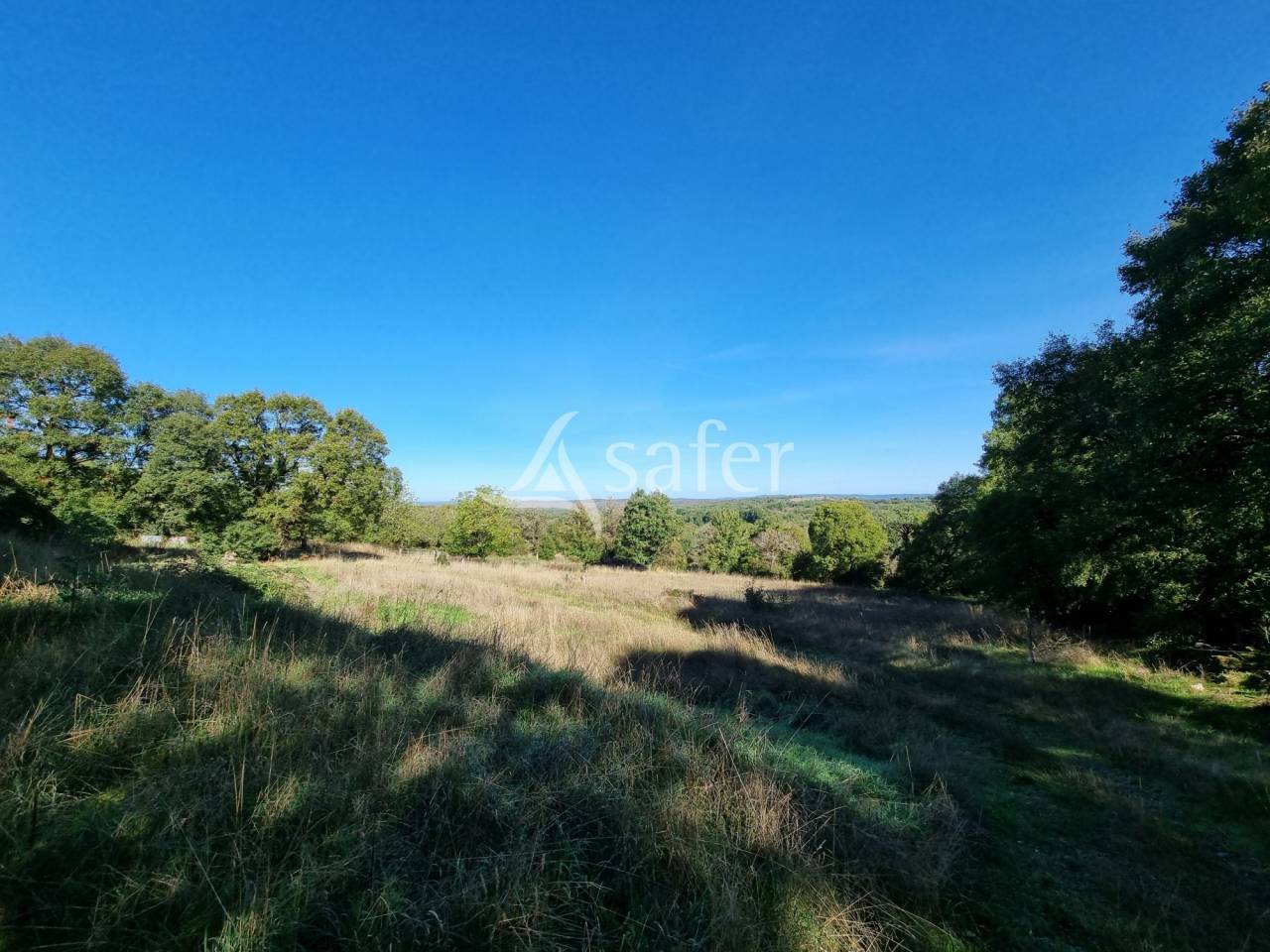 Azienda agricola In vendita Lot