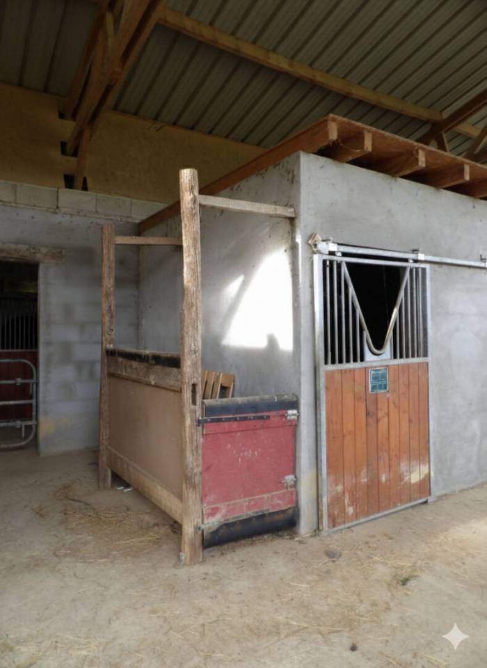 Centro di stagione cavallo In vendita Pyr&eacute;n&eacute;es-Atlantiques