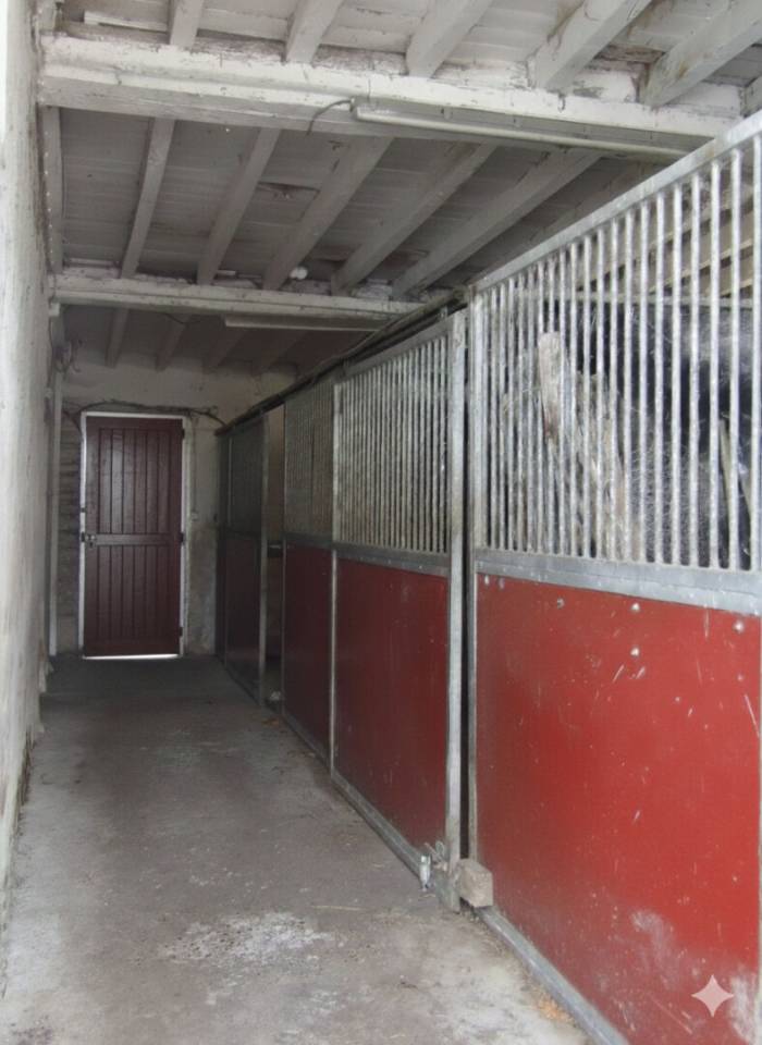 Centro di stagione cavallo In vendita Pyr&eacute;n&eacute;es-Atlantiques