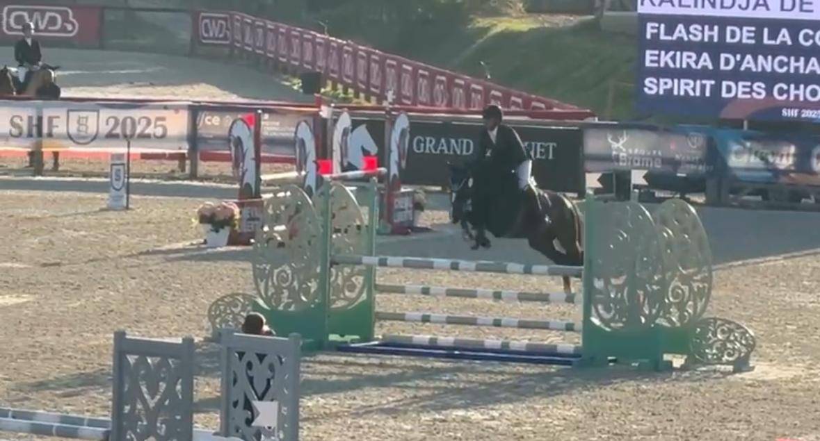 Cavalla Origine non conosciuta  In vendita 2020 Nero