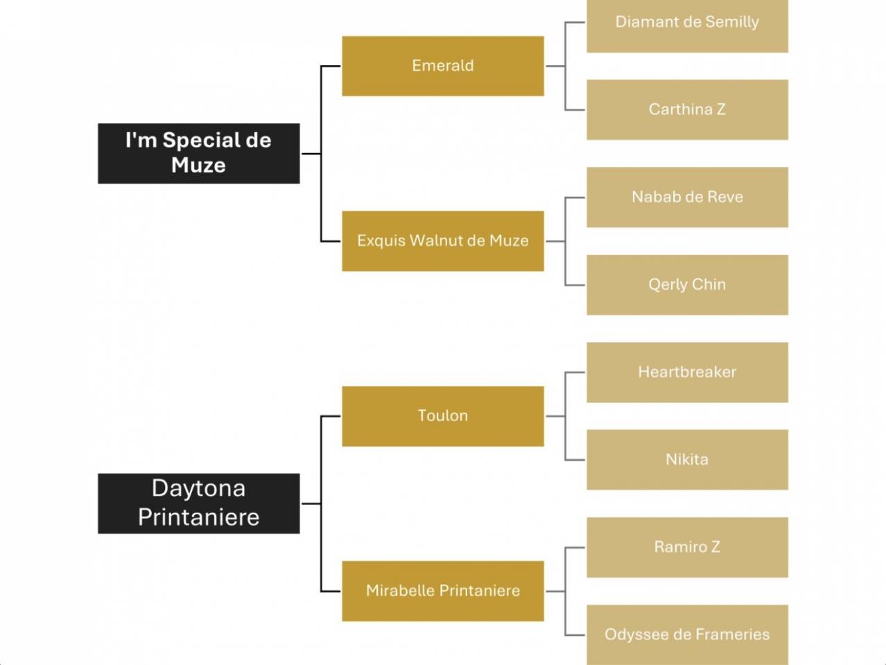 Cavalla Zangersheide In vendita 2025 Baio ,  I&rsquo;m special de Muze