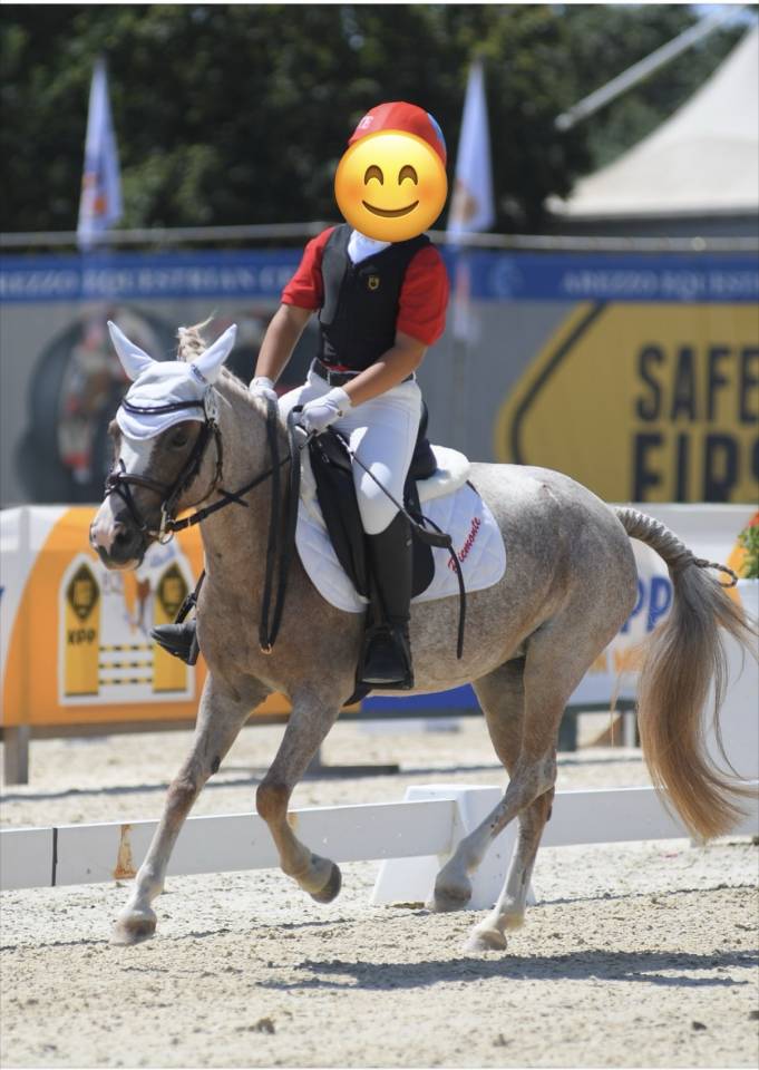 Vendita pony 117 cm per cambio categoria. Zona Piemonte