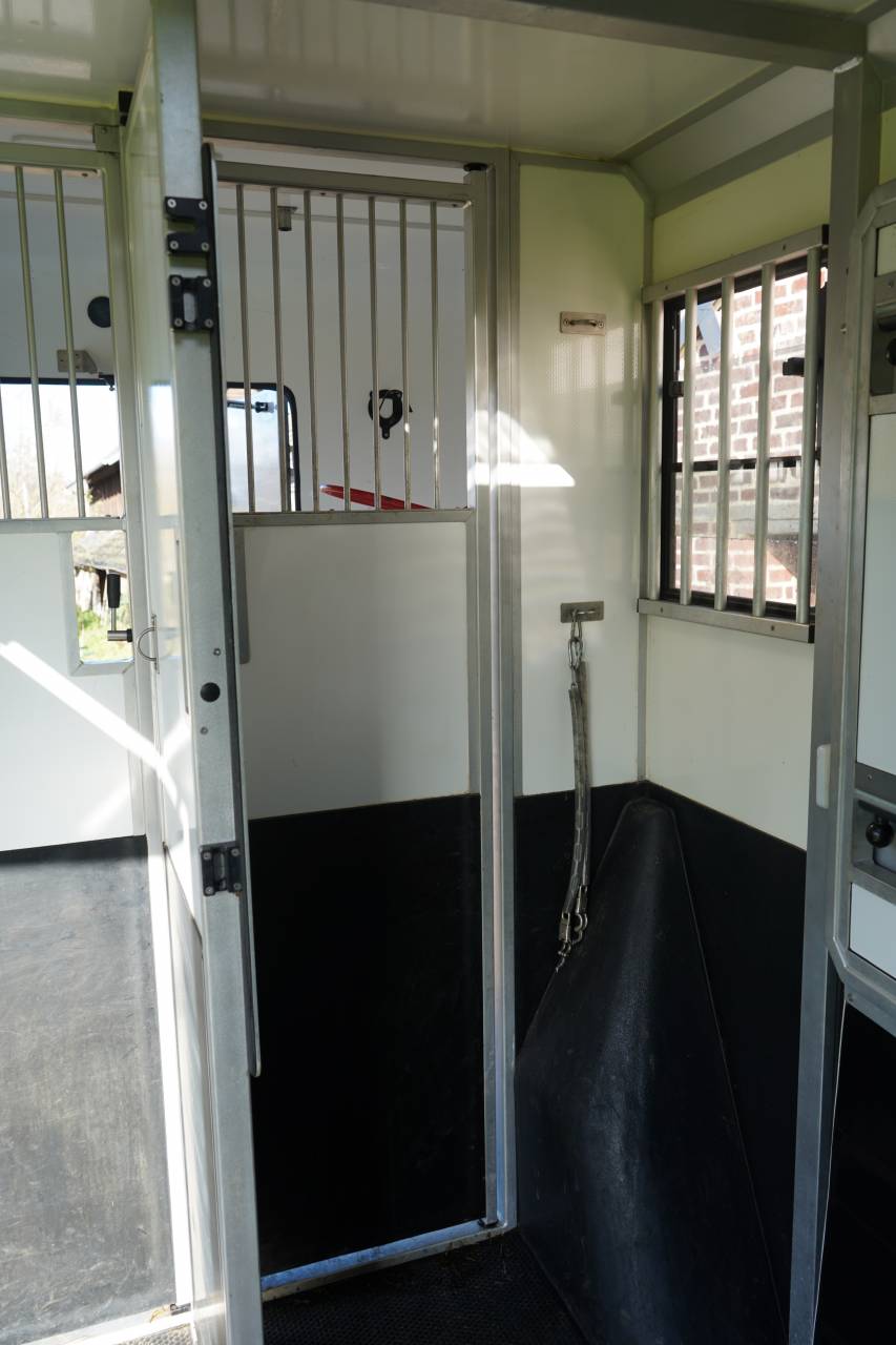 Van per Cavalli Opel STX movano 2024 Occasione