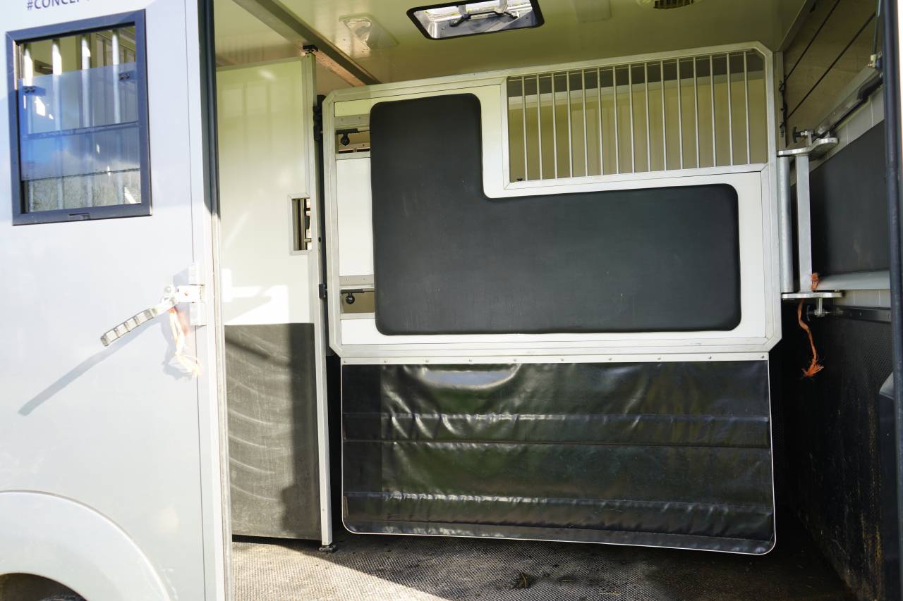 Van per Cavalli Opel STX movano 2024 Occasione