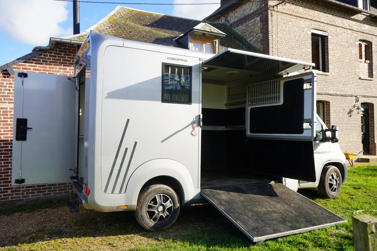 Van per Cavalli Opel STX movano 2024 Occasione